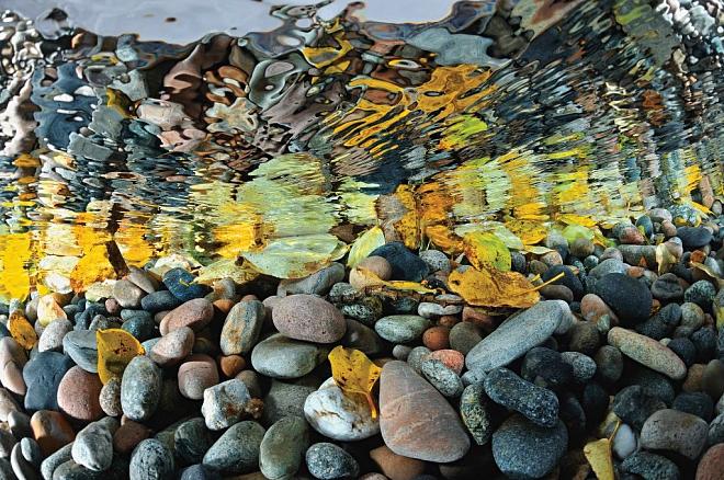 Проекты устойчивого развития