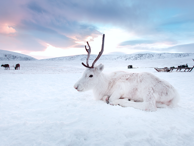 Охрана биоразнообразия